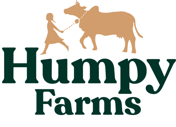 Humpy A2